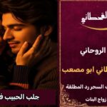 جلب الحبيب في هولندا