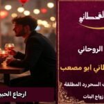 ارجاع الحبيب خلال ساعات