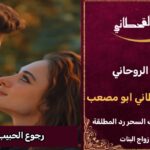 رجوع الحبيب النافر