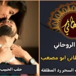 جلب الحبيب في هولندا مضمون