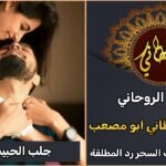 شيخ روحاني جلب الحبيب العنيد